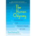 The Human Odyssey: Navigating the Twelve Stages of Life