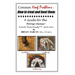 Common Hoof Problems, how to treat & beat them: A guide for the horse owner.