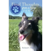 Final Thoughts From A Dying Zen Dog