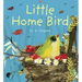 Little Home Bird 8x8 Edition