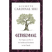 Gethsemane: The Origins and Rise of the Intellectual Revolution in the Church