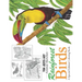 Rainforest Birds: A Special Edition Coloring Book