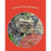 Logan the Chipmunk: A Chipmunk Story