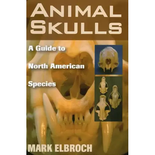Animal Skulls: A Guide to North American Species