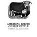 American Breeds of Beef Cattle: With Remarks on Beef Cattle Pedigrees