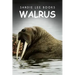 Walrus - Sandie Lee Books