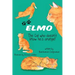 ELMO The Cat who doesn't know he's orange!