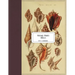 Vintage Prints: Shells
