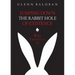 Jumping Down The Rabbit Hole Of Existence: Why Existence is
