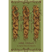 How Long Your Roots Have Grown