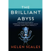 The Brilliant Abyss: Exploring the Majestic Hidden Life of the Deep Ocean, and the Looming Threat That Imperils It