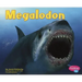 Megalodon