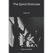 The Spiral Staircase: Large Print