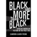 Black and More Than Black: African American Fiction in the Post Era