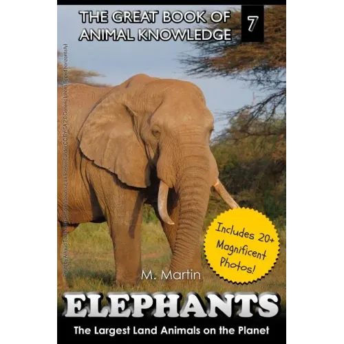 Elephants: The Largest Land Animals on the Planet