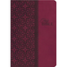 Study Bible-KJV