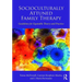Socioculturally Attuned Family Therapy: Guidelines for Equitable Theory and Practice