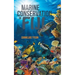 Marine Conservation in Fiji