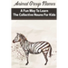 Animal Group Names A Fun Way To Learn The Collective Nouns For Kids: Fans Of Animals