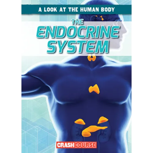 The Endocrine System