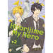 Hitorijime My Hero 2