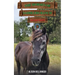 The Horses of Saddlers Ranch: Silver Moon