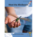 Meet the Minibeasts