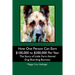 How One Person Can Earn $100,000 to $300,000 Per Year: The Story of Little Farm Kennel Dog Boarding Business