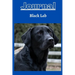 Black lab dog Journal series 1 with a cobalt blue background