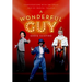A Wonderful Guy: Conversations with the Great Men of Musical Theater