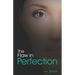 The Flaw In Perfection