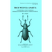 True Weevils (Part I): Coleoptera: Curculionidae (Subfamilies Raymondionyminae to Smicronychinae)