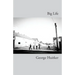 Big Life