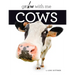 Cows