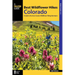 Best Wildflower Hikes Colorado