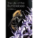 The Life of the bumblebee
