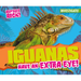 Iguanas Have an Extra Eye!