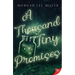 A Thousand Tiny Promises