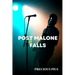 Post Malone Falls