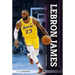 Lebron James: NBA Champion: NBA Champion