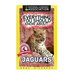 Everything You Should Know About: Jaguars Faster Learning Facts