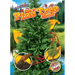 See a Pine Tree Grow