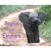 Peanut the Elephant