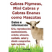 Cabras Pigmeas, Mini Cabras y Cabras Enanas Como Mascota. Datos E Informacion. Cria, Reprodu