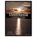 Destinesia: An Anthology of Change