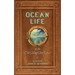 Ocean Life in the Old Sailing Ship Days