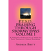P.T.S.D. Praising Through Stormy Days Volume 1: A Spirtual Clapback to Post Traumatic Stress Disorder