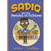 Sadiq and the Festival of Cultures