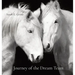 Journey of the Dream Team