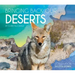 Bringing Back Our Deserts